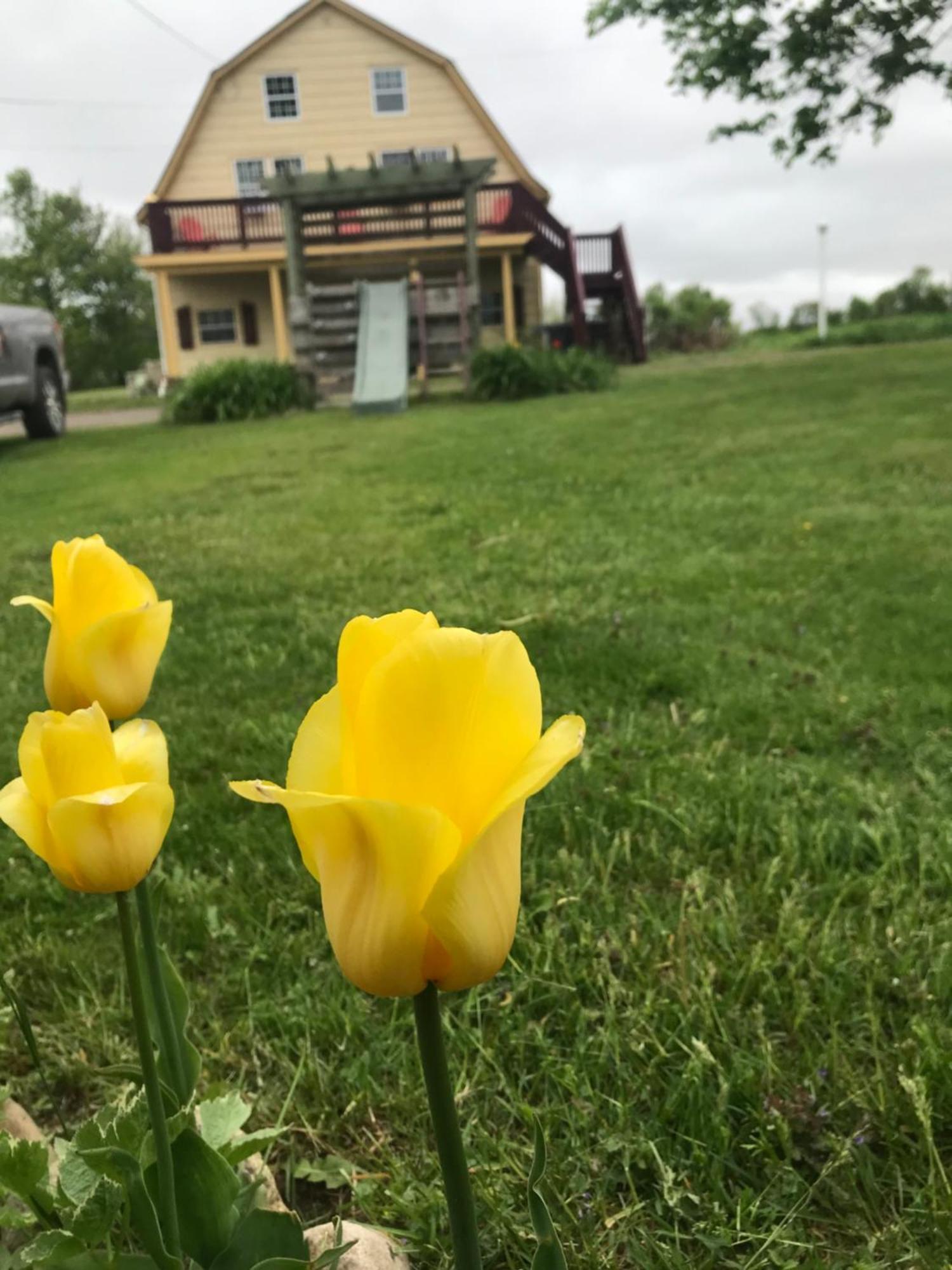 A Country Home Inn The City Charlottetown Eksteriør bilde